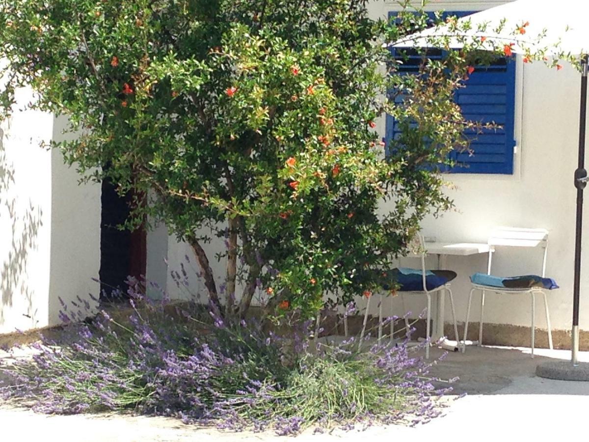 Studio Apartment Blue Window Biograd Na Moru Ngoại thất bức ảnh